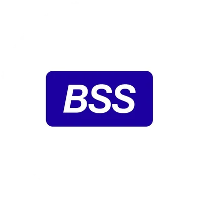 Бэнкс Софт Системс logo